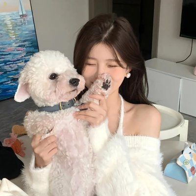 如我们所见